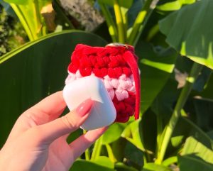 protection-optimale-airpods