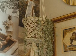 touche-boheme-elements-muraux-crochet